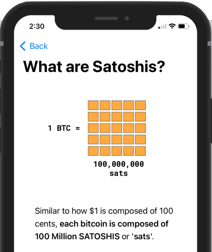 Learn what are satoshis